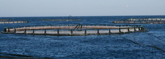 Milyar $'lık yatırım kaçtı