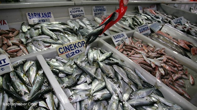 Çinekop balıkçıların yüzünü güldürdü