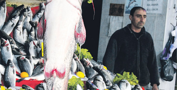 Balık Esnafı Kültür&#039;e Yöneldi