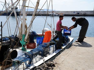 Toparlanan Ekonomiler Karidesçilere Yaradı
