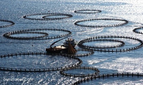 Kar Yağdı Tezgahlar Çiftlik Balıklarına Kaldı