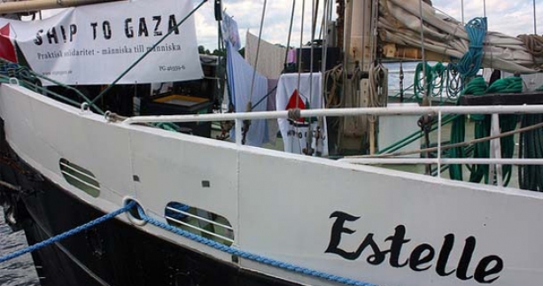 Antrenör Eğitim Faaliyetleri