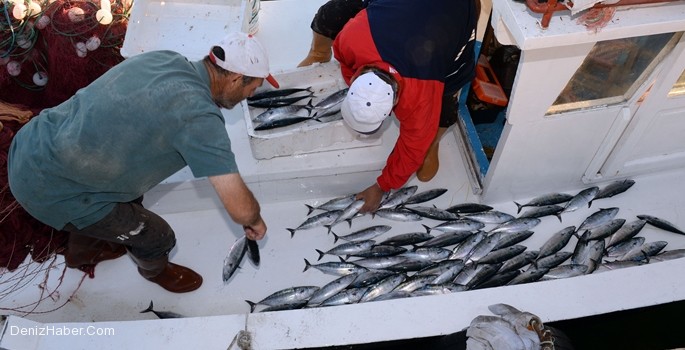 279 Balıkçı Gemisi İçin, 35 Milyon Lira Ödeme