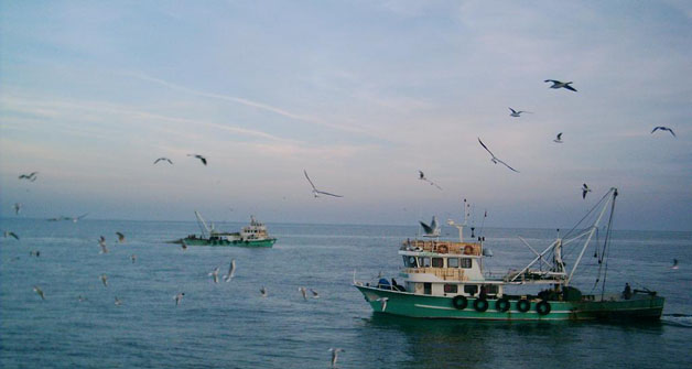 Karadenizli Balıkçıların Beklentisi Boşa Çıktı