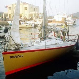 Teknelerin barınma ve bağlanma sorunu