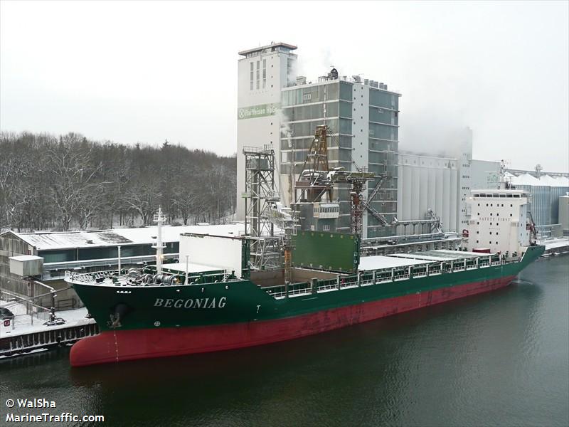 &quot;Begonia G&quot; Türk Armatöre Satıldı...