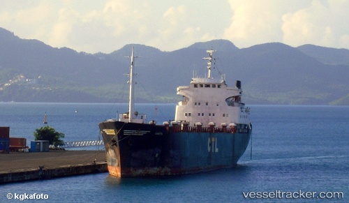 Yalan söyleyen gemi sörveyörüne hapis!