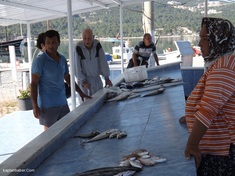 Akbük'te Balık Mezatı Bir Başkadır