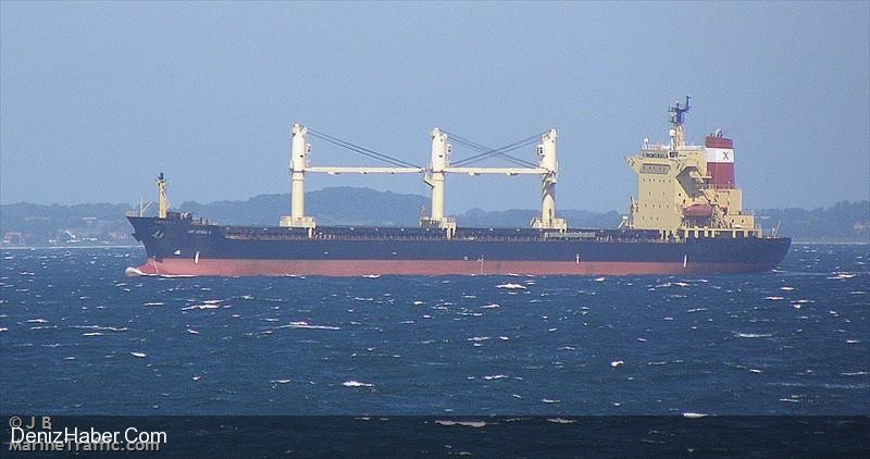 &quot;Lady Anthula H.&quot; Türk Armatöre Satıldı