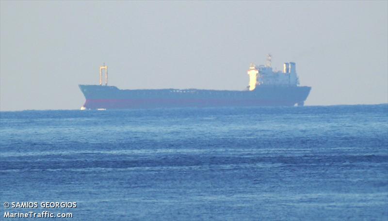 Gemi Yüklenirken Sapana Takıldı