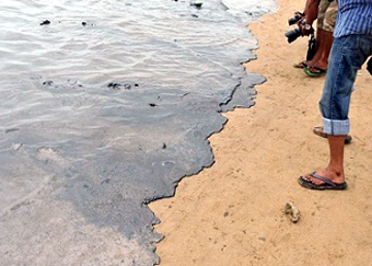 Bombay Sahilleri Siyaha Döndü