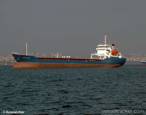 Türk Gemisi Ukrayna&#039;da Karaya Oturdu