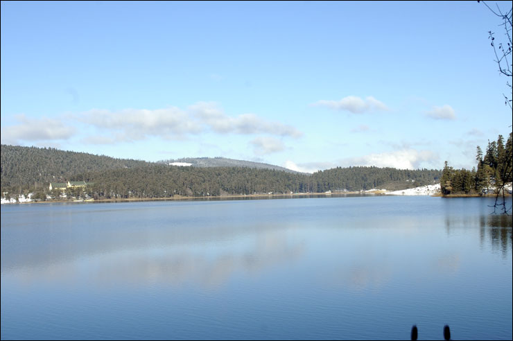 Abant Tabiat Parkı&#039;nda Balık Bereketi