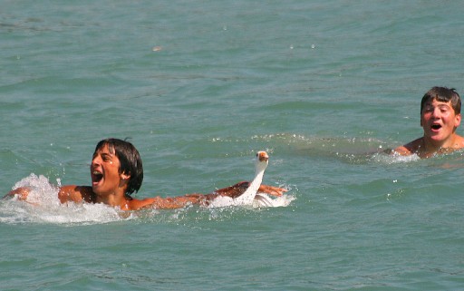 Abana Deniz Şenlikleri Yapıldı