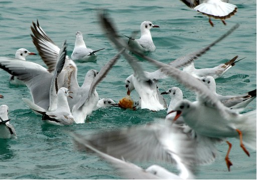 Yurtta Sıcak Hava Hakim