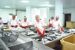 Deniz sevgisi ihracatçı yaptı