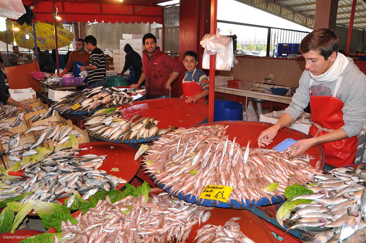 Aliağalı Balıkçılardan Kota Önerisi