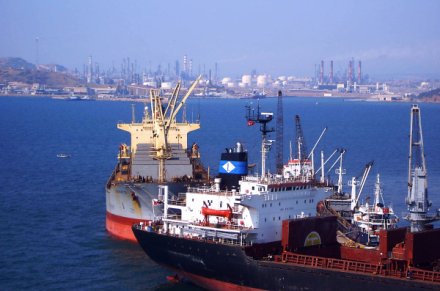 Denizyoluyla Taşınan Tehlikeli Yüklere İlişkin Yönetmelik