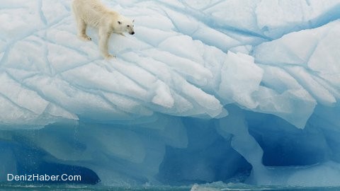 Kutup Araştırmaları Uygulama ve Araştırma Merkezi İTÜ'de