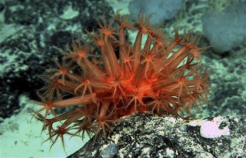 Baltimore Akvaryumu milyonlarca turist çekiyor