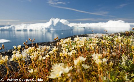 Kuzey Buz denizinde petrol aramasını protesto