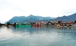 Ramiz Kaptan’la Palamut Ve Yeşil Çay Şöleni