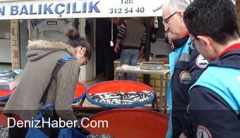 Balık Satış Yerlerine Denetim!