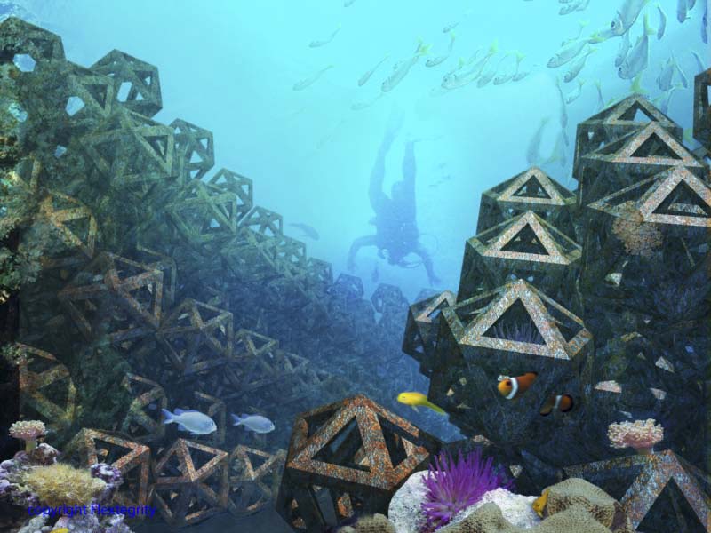 Yapay Resifler Balıkçıların Yüzünü Güldürdü