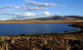 Asboğa Gölü&#039;nde Toplu Balık Ölümü