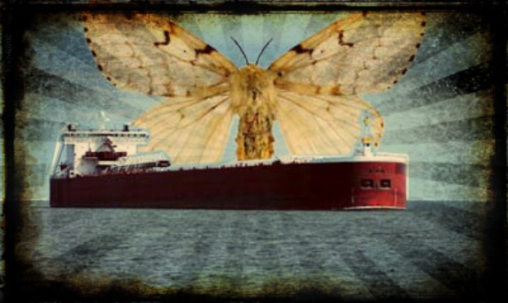 Gemiler &#039;Asya Güvesi&#039;ne Karşı Uyarıldı