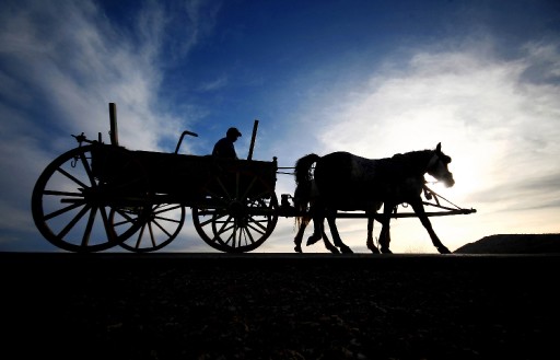 Türkler Atlardan Hala Vazgeçemedi