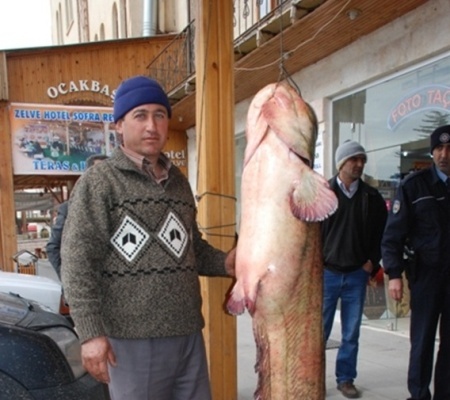 Avanoslu Balıkçı Boyu Kadar Yayın Tuttu