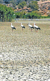 Azap Gölü’nde Molozlu Katliam