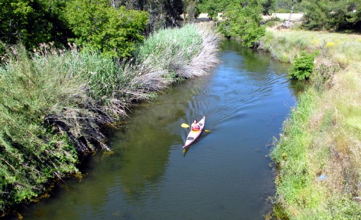 Azmak Deresi'ne Büyük İlgi