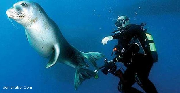 Koç:&quot;Bademi çocuk gibi büyüttük&quot;