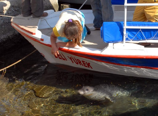 Zıpkınla Vururuz Tepkisi Utanç Verici
