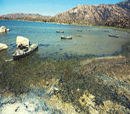 Bafa Gölü ‘Atık’ Gölü