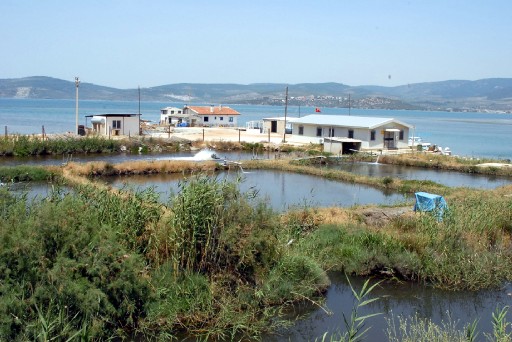 10 Yıl Çiftliği Kaçak İşletti İddiası