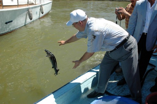 5. Mersin Balığı Festivali Yapıldı
