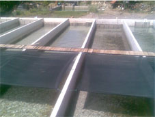 Tavaya Atlayıp Kızarmayı mı Öğrenecekler?