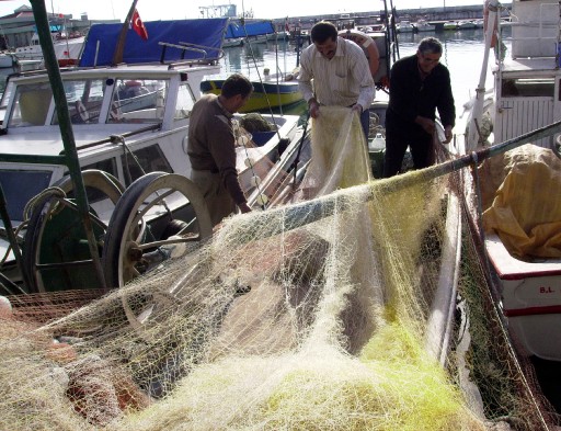 Karadeniz&#039;de Rus Kefali Bekleniyor