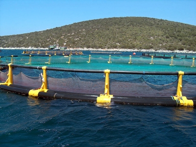 Balık Çiftliklerine Tebligat