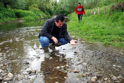 Melen&#039;i Besleyen Derede Balık Ölümleri