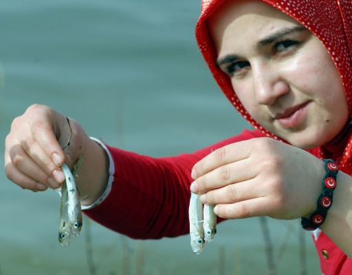 Yozgat'ta Toplu Balık Ölümleri