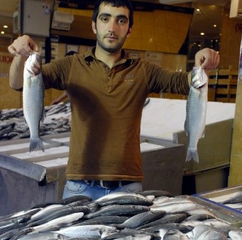 Balıklar Artık Çiftliklerden