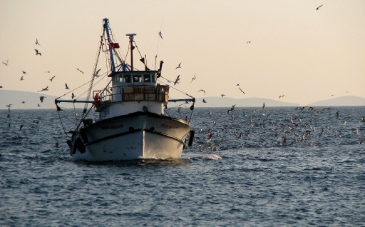 Balıkçılar Sezonu Karsız Kapattı