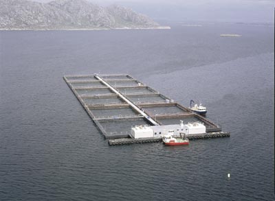 Balık çiftlikleri Taşınmaya Ara Verdi