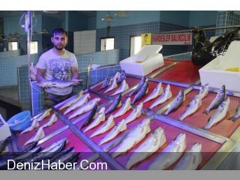Samsun&#039;da Balık Fiyatları El Yakıyor