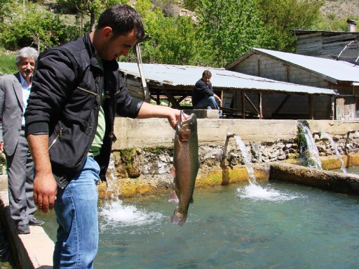 Gümüşhane'de Kültür Balıkçılığı