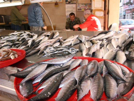 Gençlere Balıkçılık Eğitimi  Verilecek